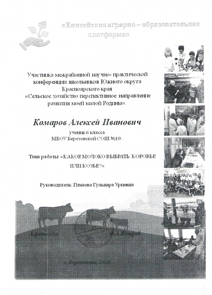 dostijenia 4