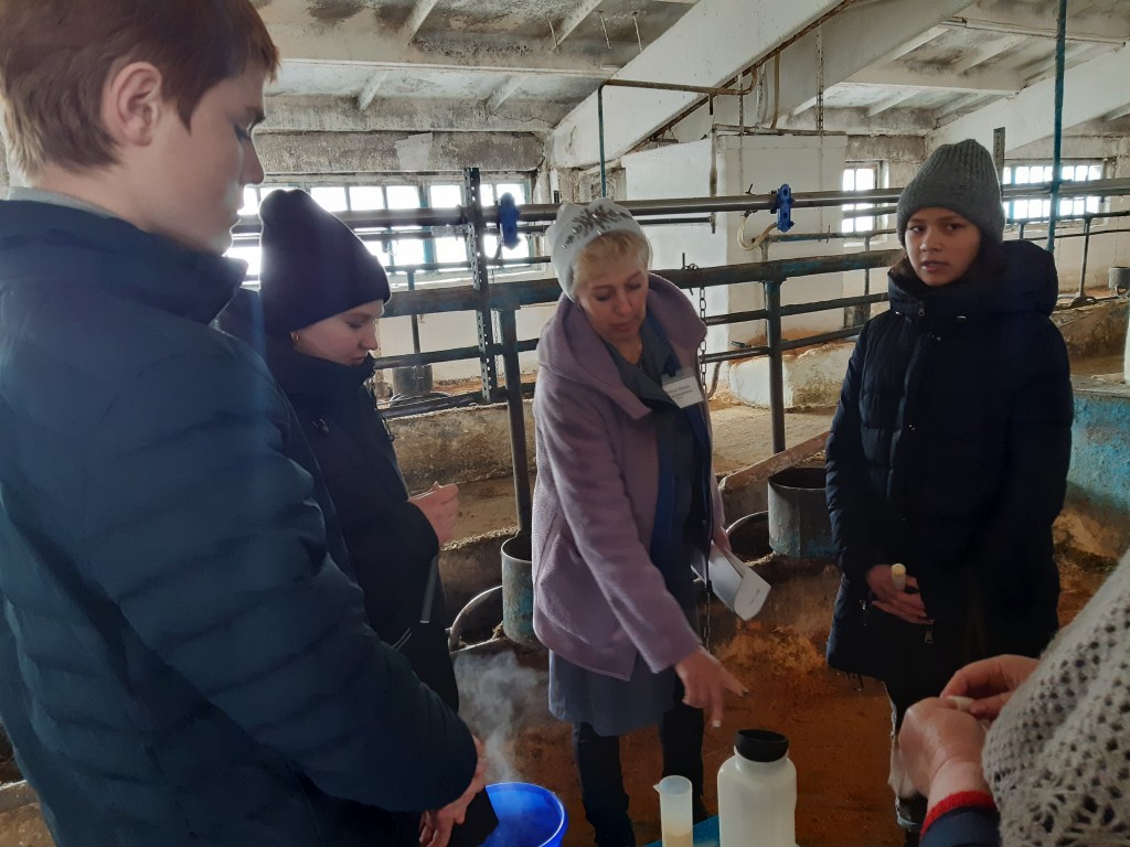 Квест "Все условия для получения качественного молока" 4