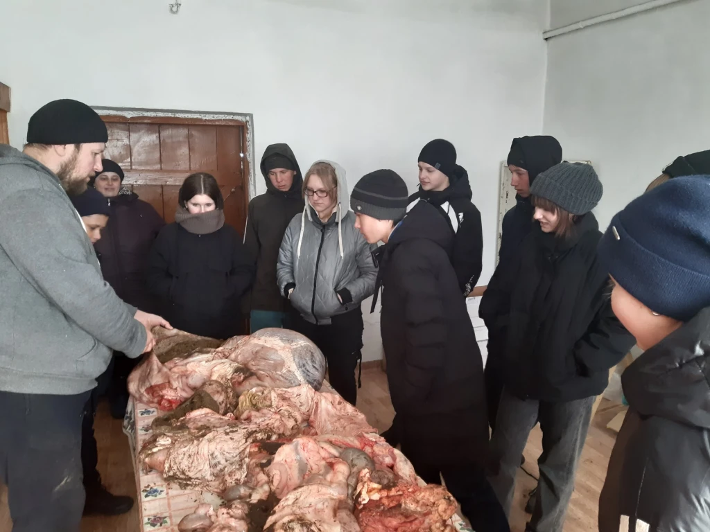 Оценка состояния молочного животноводства на предприятиях 2023 8